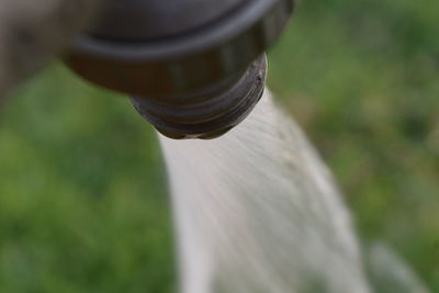 Close-up of water pipe