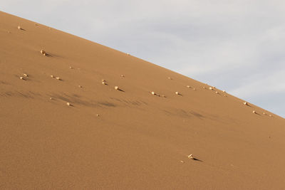 Low angle view of sand dunes against sky