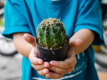 Midsection of child holding succulent plant