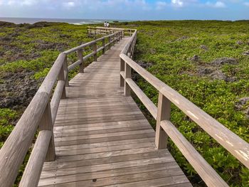 Wooden boardwalk leading towards landscape