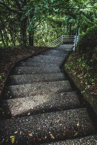 Steps amidst trees in forest