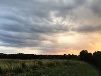 Scenic view of field against sky during sunset