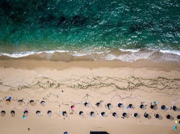 Group of people on beach