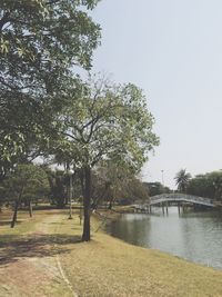 Reflection of trees in water