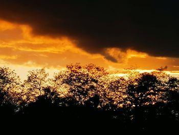 Low angle view of silhouette trees against sky during sunset