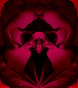 Close-up of pink flowers