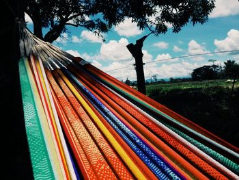 Close-up of multi colored hanging on tree against sky