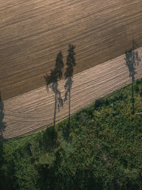 High angle view of shadow on field