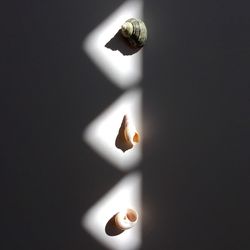 Close-up of seashells over white background in light and shadow pattern 