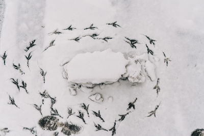 High angle view of snow covered land