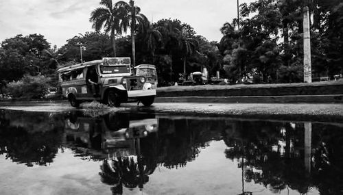 Reflection of trees in puddle