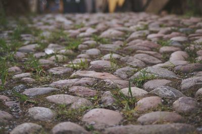 Surface level of pebbles