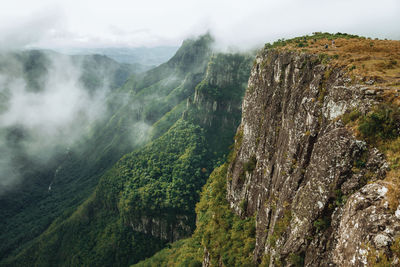 Fortaleza canyon with steep rocky cliffs and forest in a cloudy day near cambará do sul. brazil.