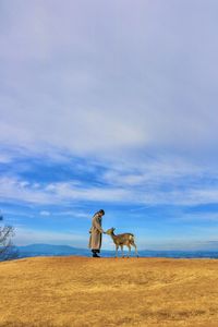 Horses on field against sky