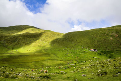 Scenic view of green landscape against sky