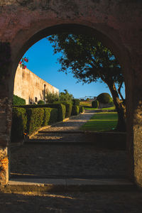 Trees seen through archway