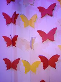 Close-up of red leaves