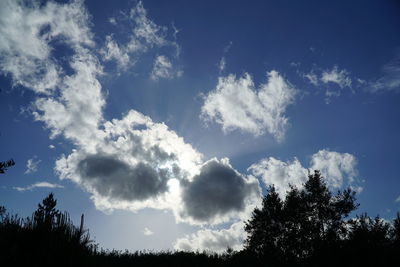 Low angle view of silhouette trees against sky