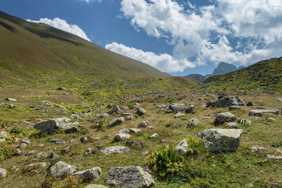 Scenic view of landscape against sky