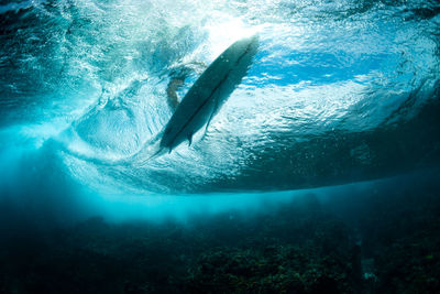 High angle view of swimming in sea