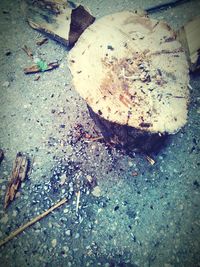 Close-up of messy wall