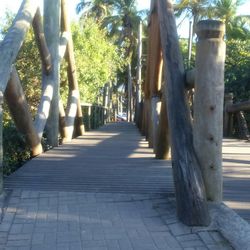 Footpath amidst trees