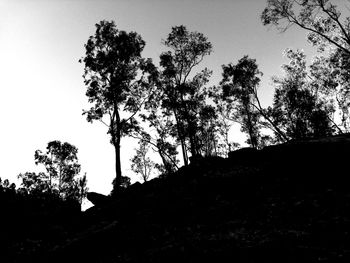 Low angle view of silhouette tree against clear sky