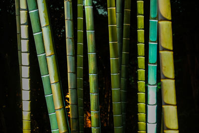 Full frame shot of bamboos