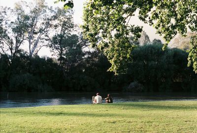 Couple sitting on land against trees