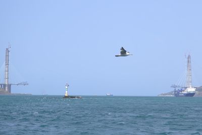 Sailboats in sea against clear sky