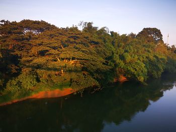 Scenic view of lake by trees against sky