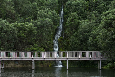 Scenic view of waterfall in forest