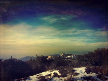 Trees by mountain against sky