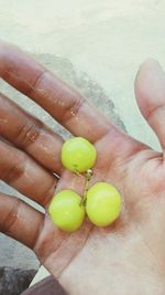 High angle view of hand holding lemon