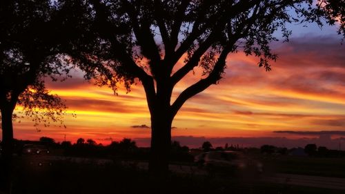 Silhouette tree against sky during sunset