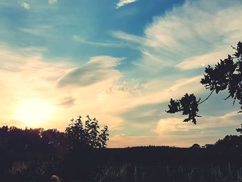 Silhouette trees against sky during sunset