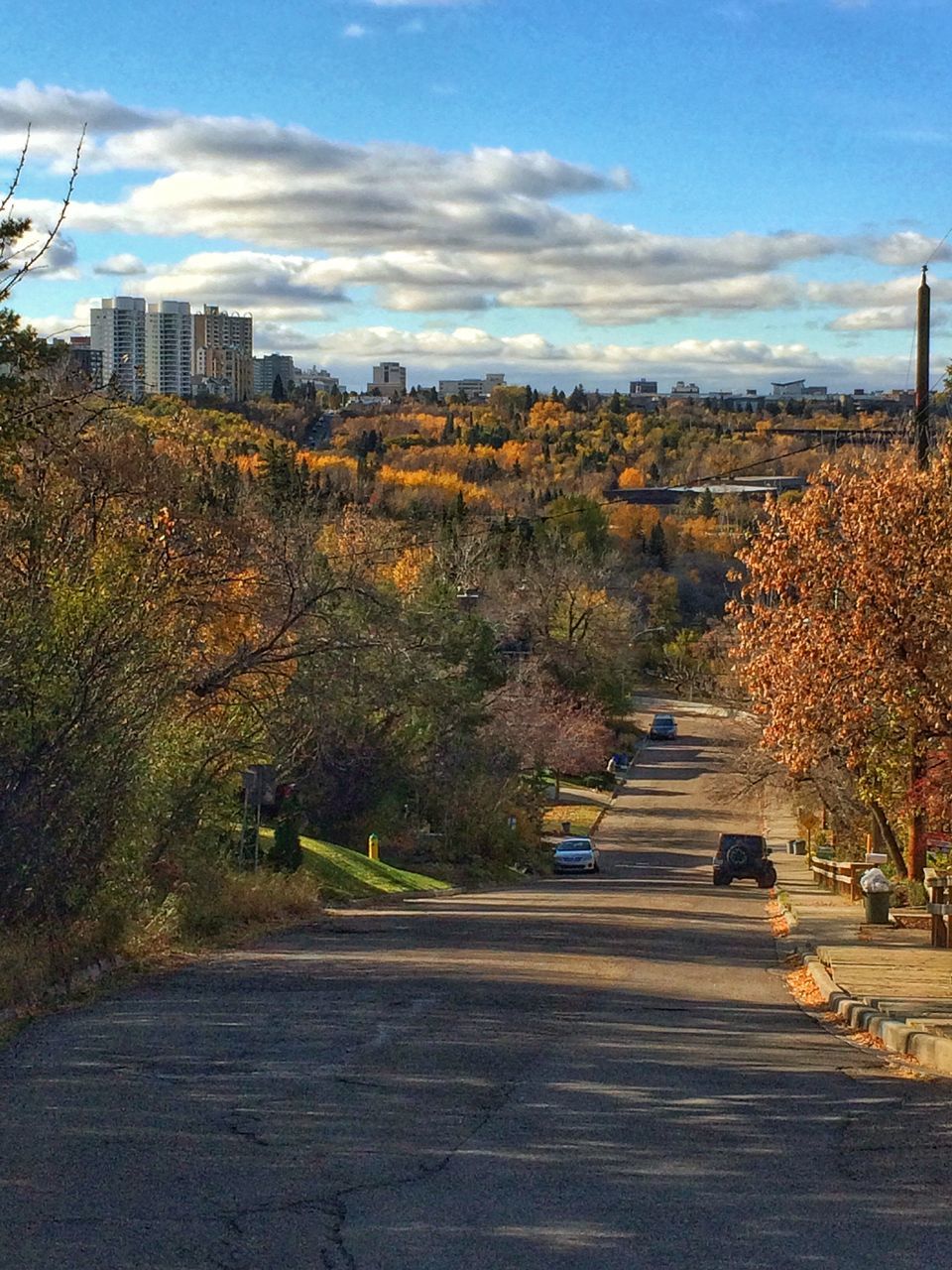 road, car, transportation, city, tree, street, outdoors, sky, architecture, no people, cityscape, day, autumn, growth, building exterior, nature