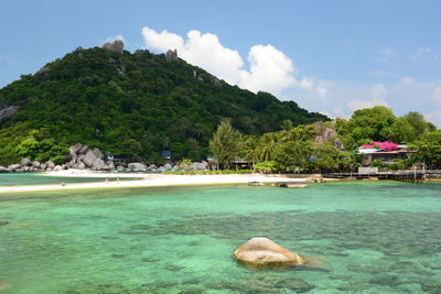 Koh nang yuan. koh tao. surat thani province. thailand