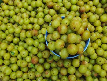 Sweet fresh indian gooseberries in a blue bowl, indian gooseberries many with leaves