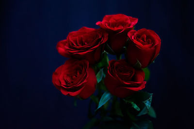 Close-up of rose bouquet against black background