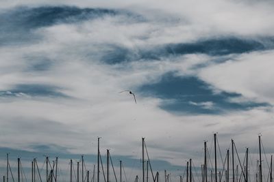 Bird flying above masts against cloudy sky