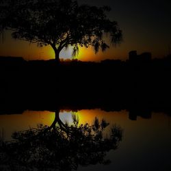 Silhouette tree by lake against sky during sunset