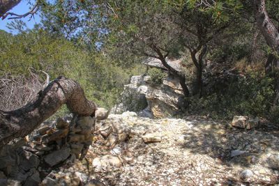 Rocks on rocks