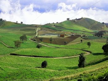 Scenic view of agricultural field against sky