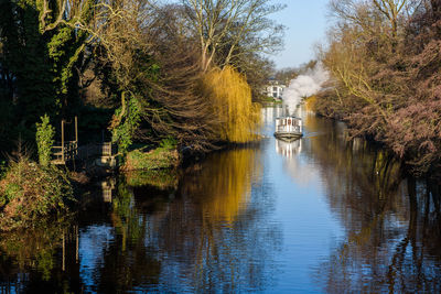 Scenic view of river amidst trees
