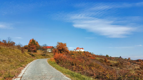 Fall landscape, castle on top of hill, autumn, nature, outdoors, trees, leaves, foliage, road.