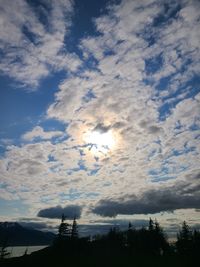 Low angle view of silhouette trees against sky