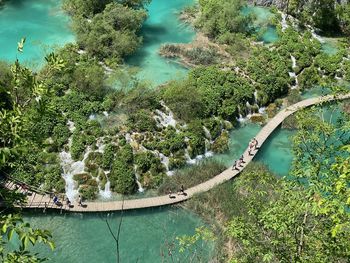 High angle view of plants by river