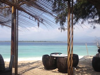 Palm trees on beach