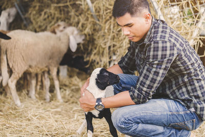 Man crouching with lamb and sheep